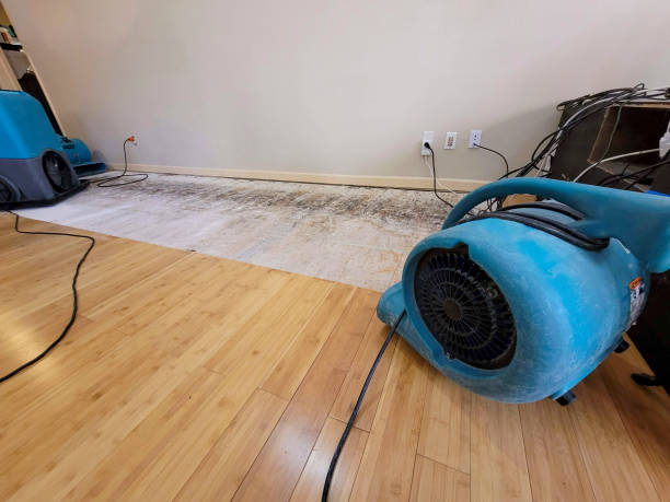 Professional Flood Damage Cleanup technician working in Cleveland, OK